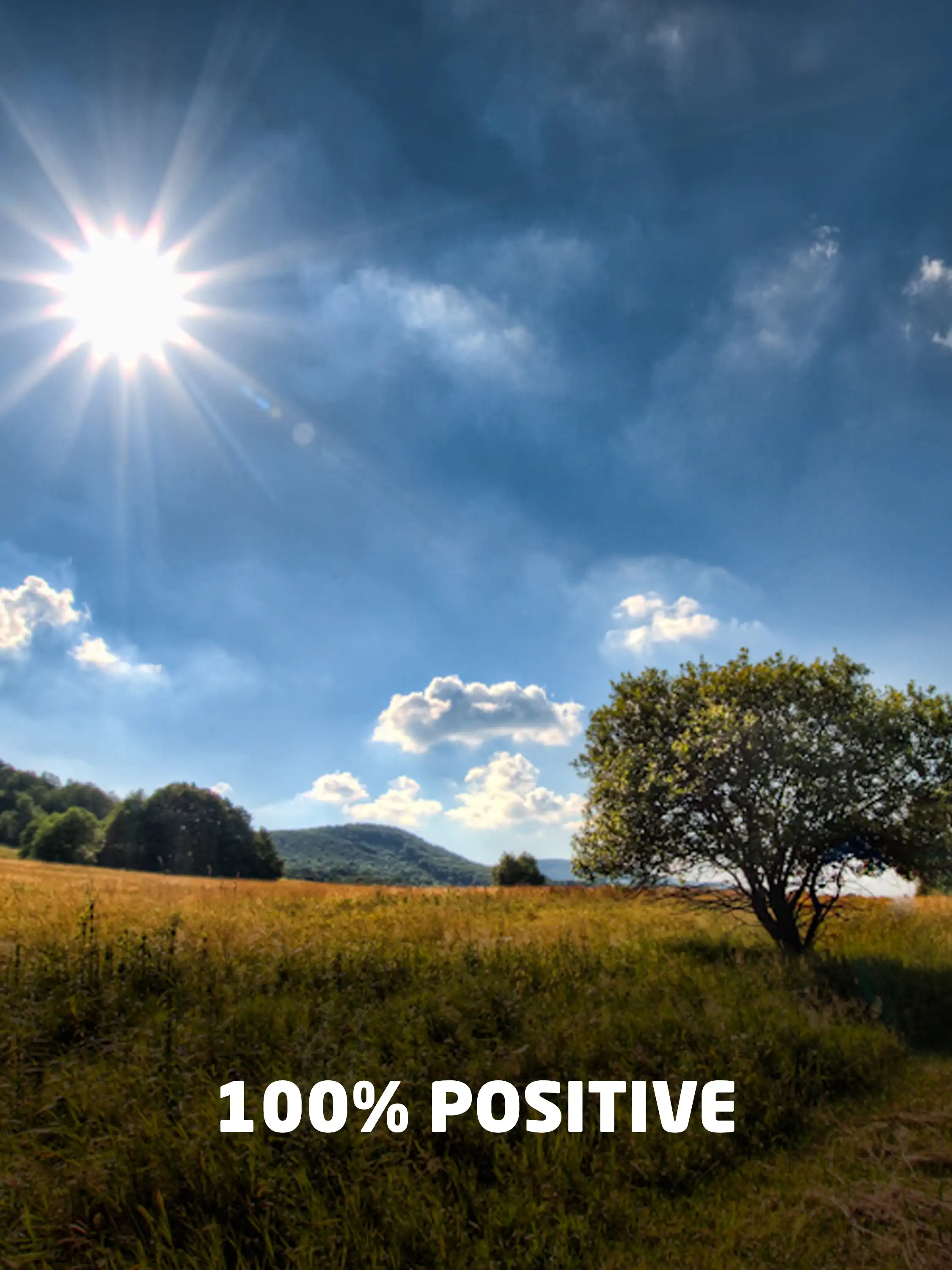 100% Positive